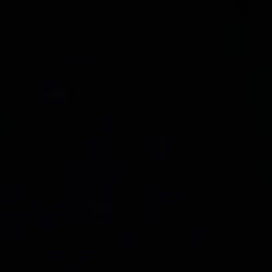 Meet your Posher, Terrell